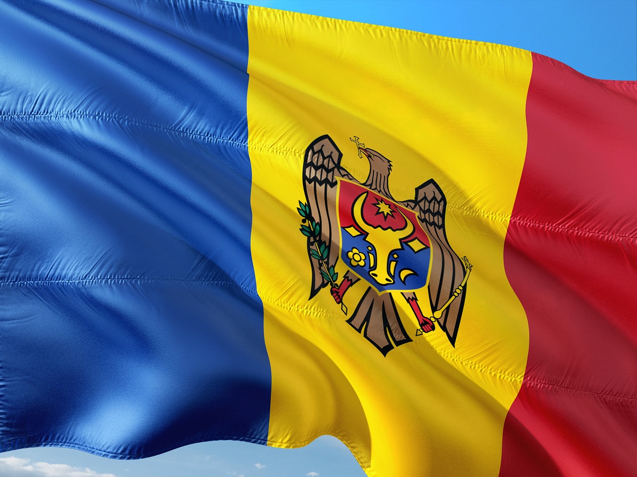 international - Hizvo