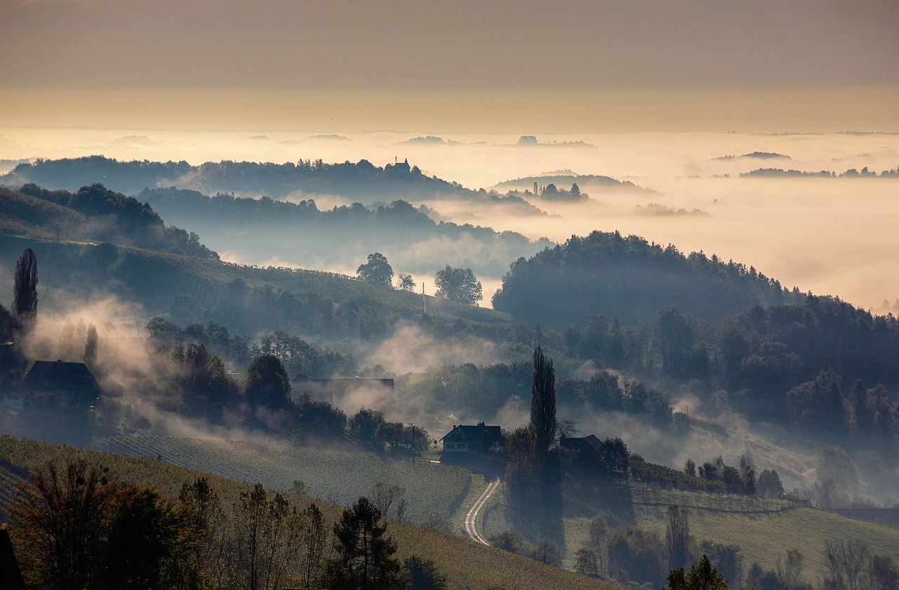 austria fog - Hizvo
