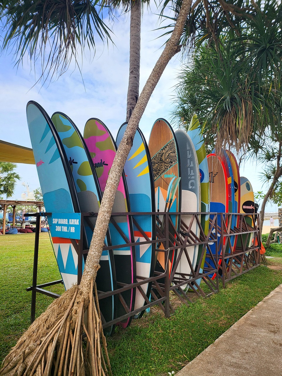 surfboards - Hizvo